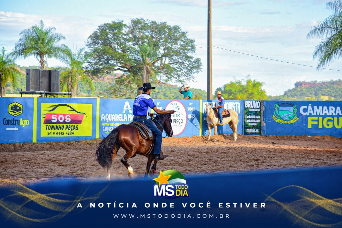 Imagem da Galeria